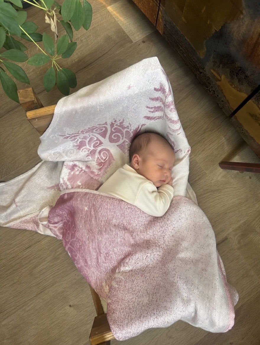 Susien halattava kangasmetsä Elaine 2.0